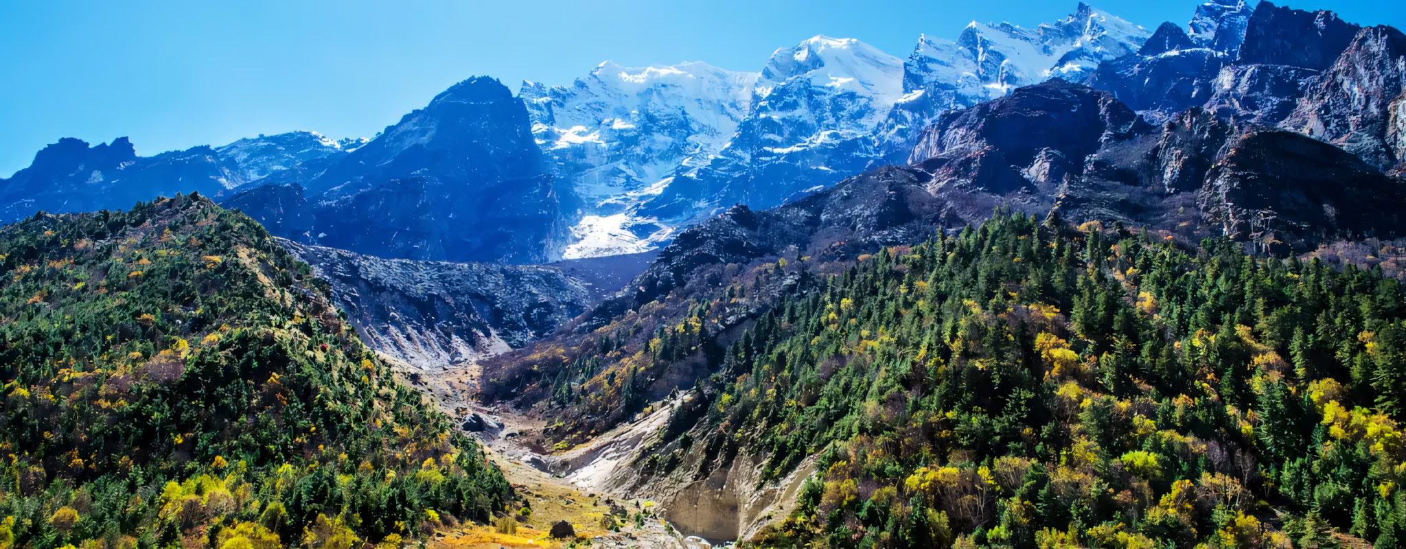 Gateway to the Himalayas: Exploring Gangotri National Park Gateway to the Himalayas: Exploring Gangotri National Park